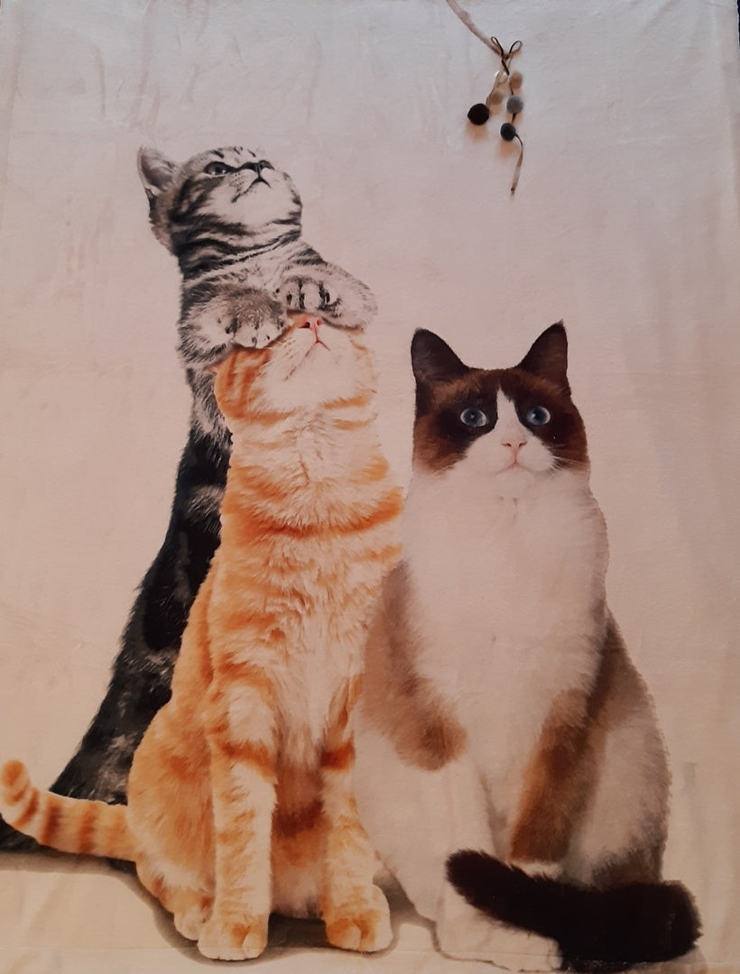 Plaid pelliccetta Cats Maryplaid Campagnolo